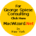 George Spiese Consulting